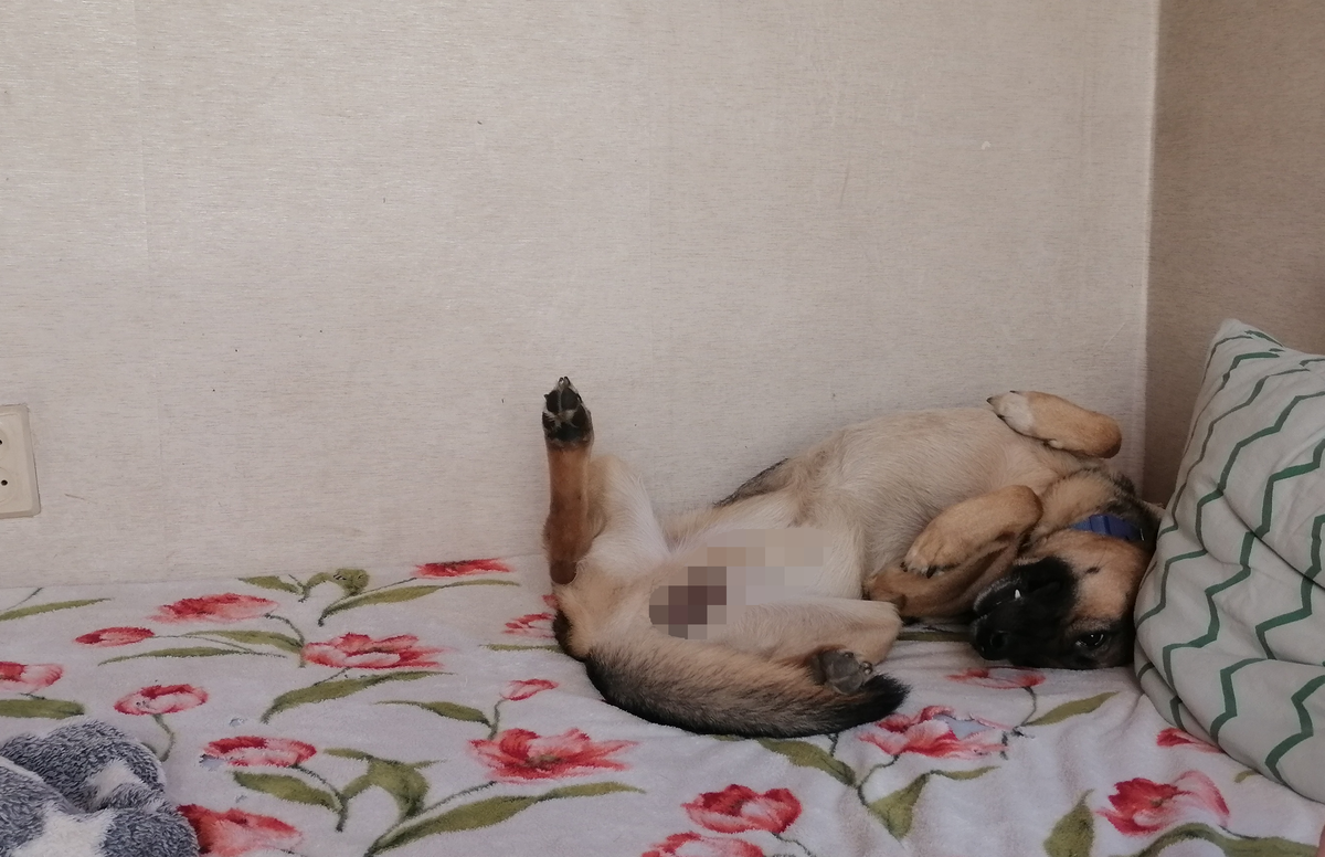 Это и другие фото сделаны автором и принадлежат ему на условиях авторского права. 