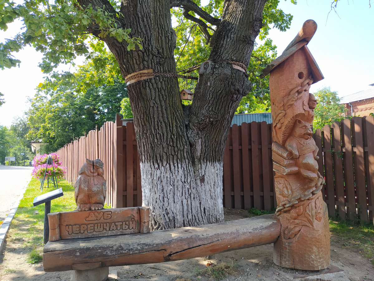 Дубу чуть больше ста лет (так написано на табличке слева), хотя впечатление, что не меньше трехсот!