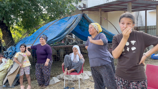 Показываю обычный фермерский дом в горной деревне. Покупаем сено для наших животных. Жизнь в глухой деревне.