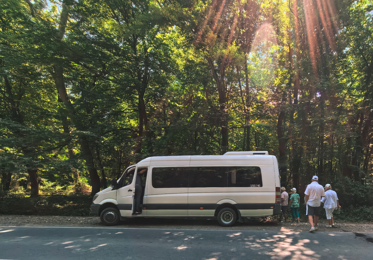 Фото автора.