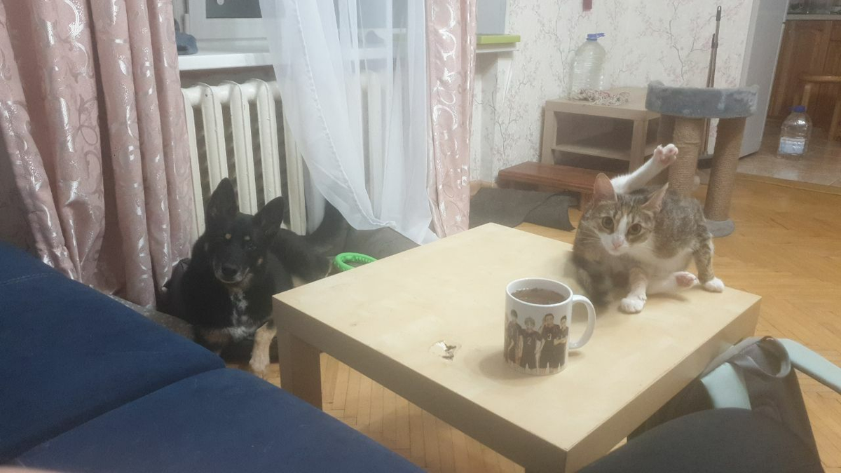 Сдерживаю ночной концерт
