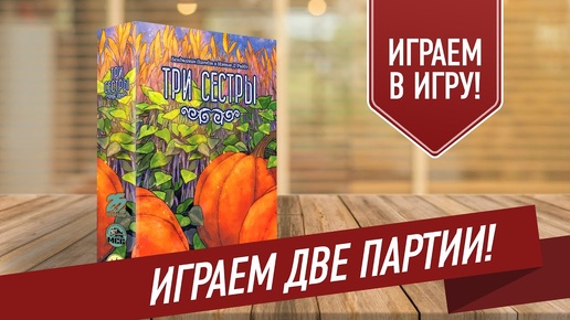 ТРИ СЕСТРЫ: Играем в настольную игру!