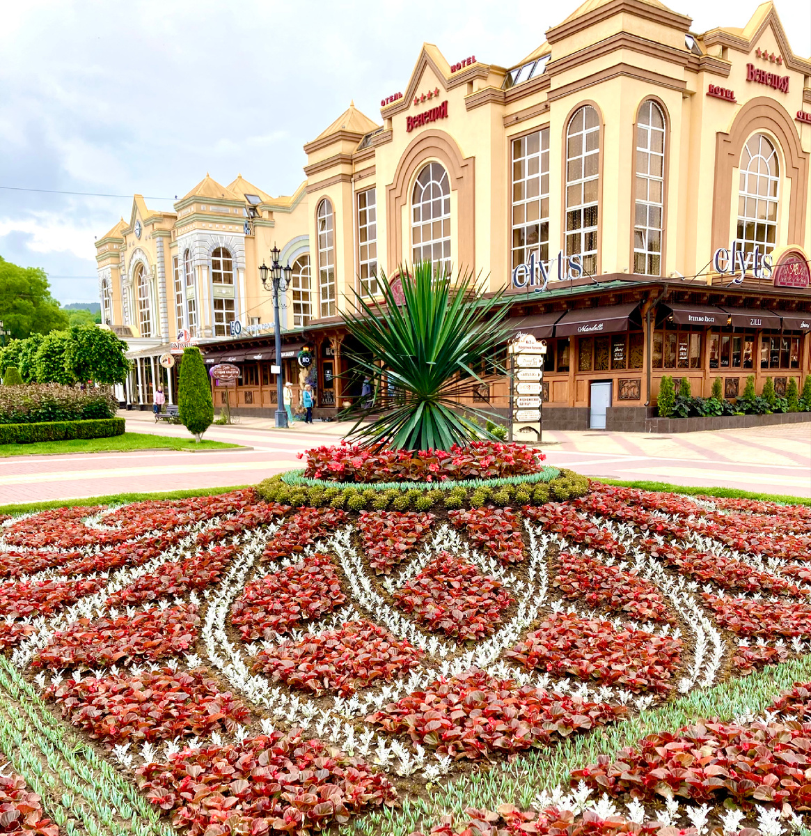 Курортный бульвар. Клумба с бегониями . Фото автора.