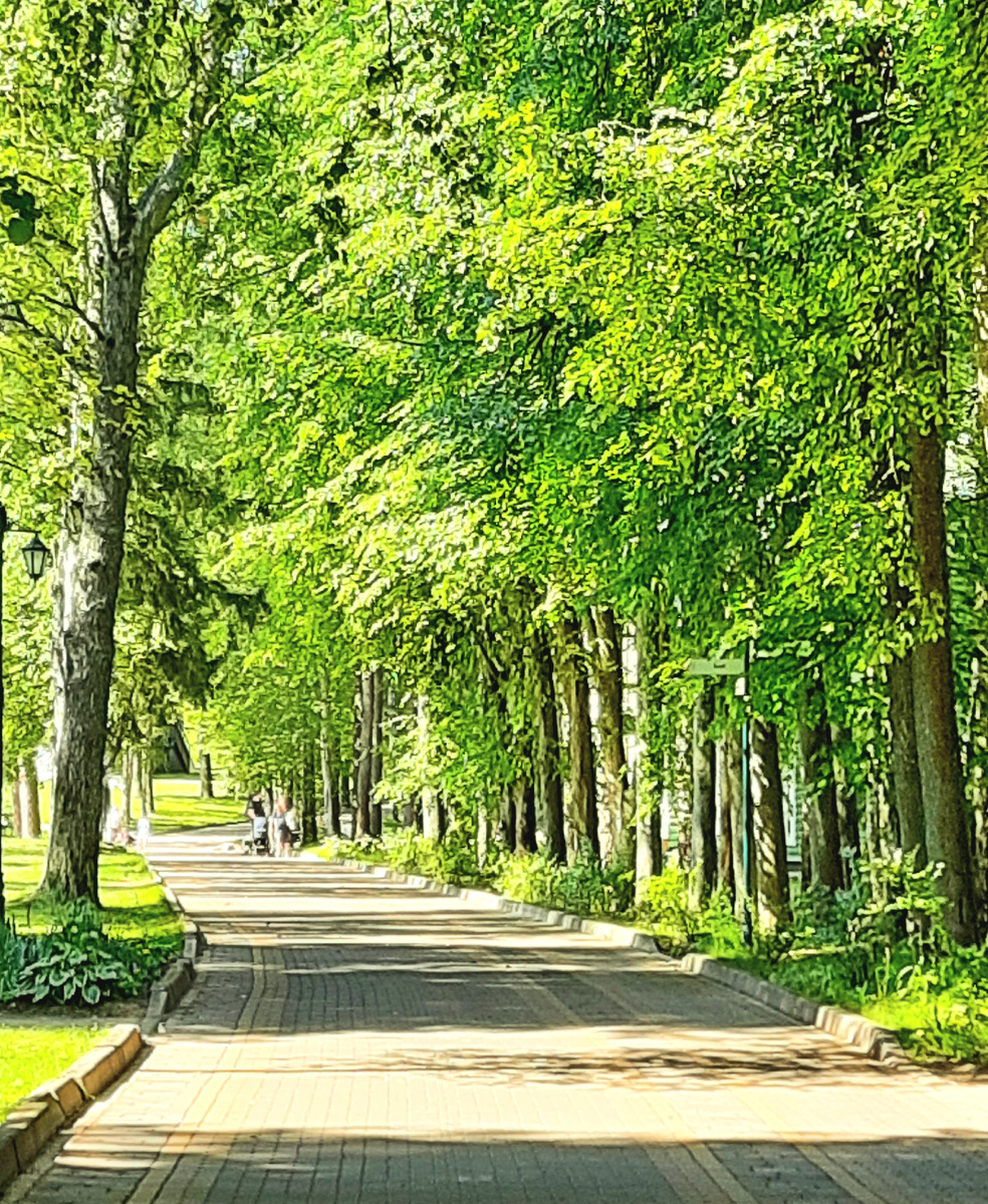 Тишина и свежий воздух.Фото автора.