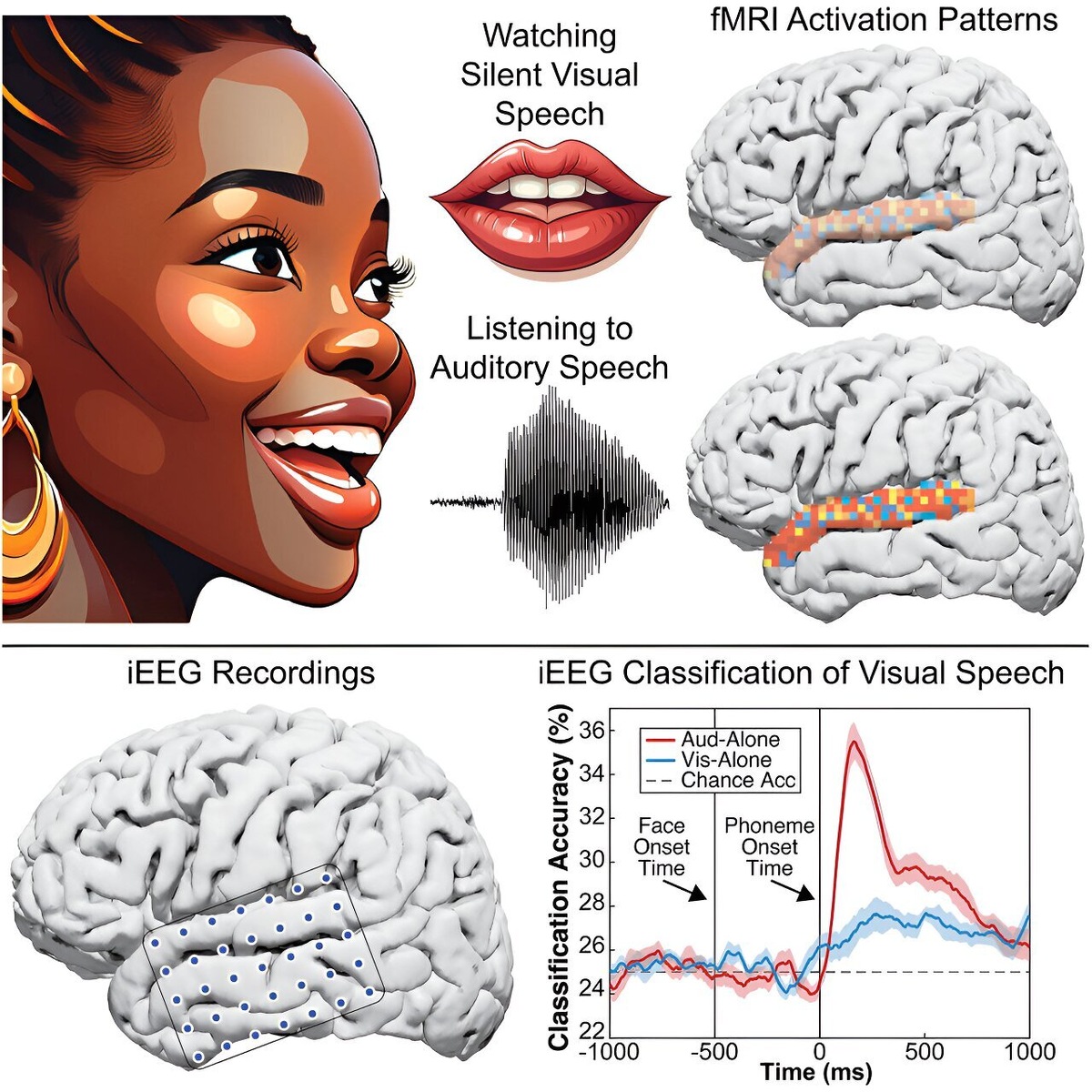    Current Biology (2024). DOI: 10.1016/j.cub.2024.07.073