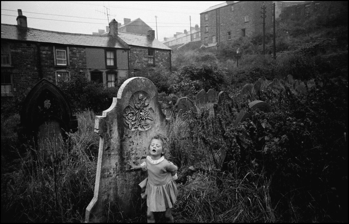 Источник Яндекс. Картинки. 