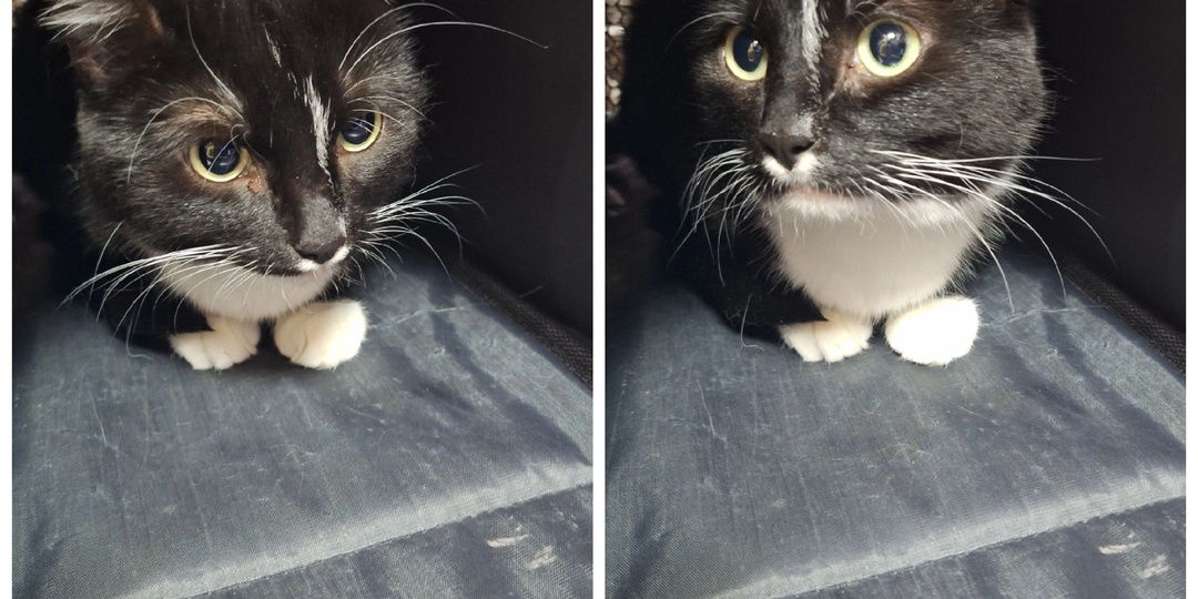 К нам приехали новички