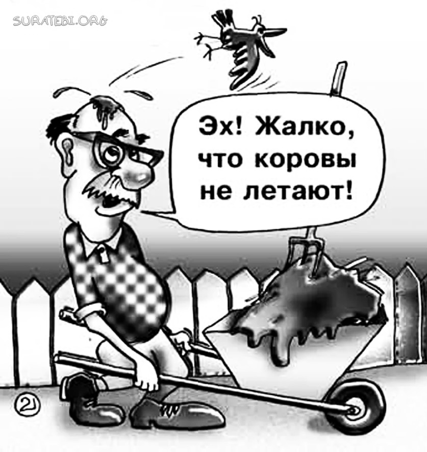 Из свободной сети интернет 