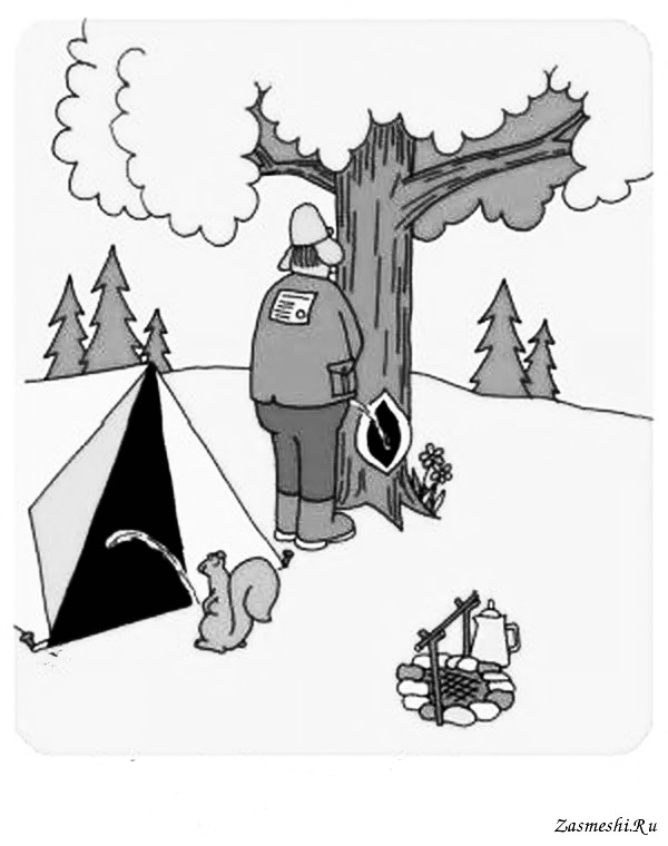 Из свободной сети интернет. 