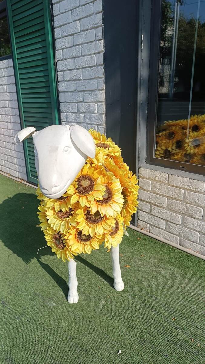 Фото от Риты