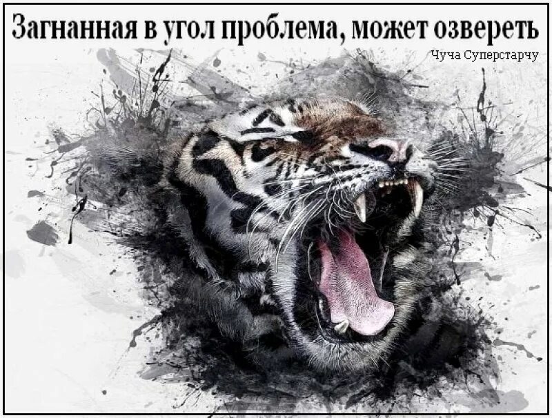 Фото из открытых источников интернета