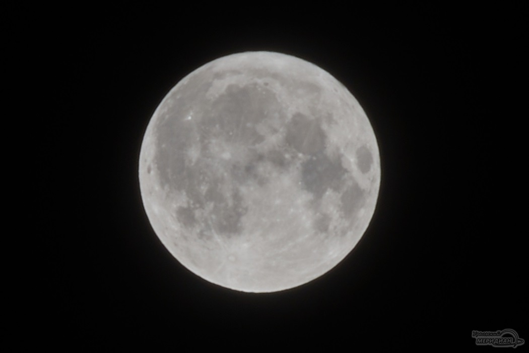 Фото: Лидия Аникина © ИА «Уральский меридиан» Вера Яковлева  📷
