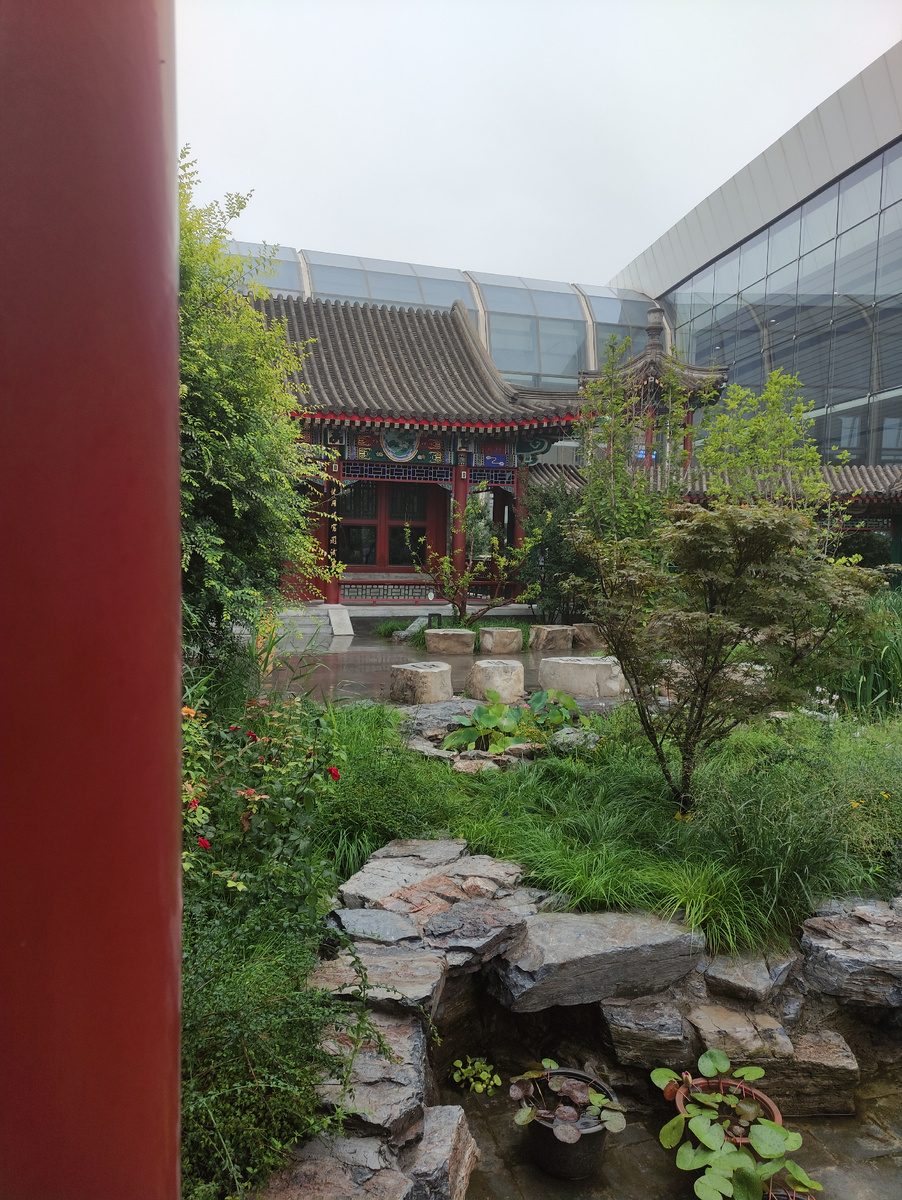 Китайский садик в аэропорту Дасин