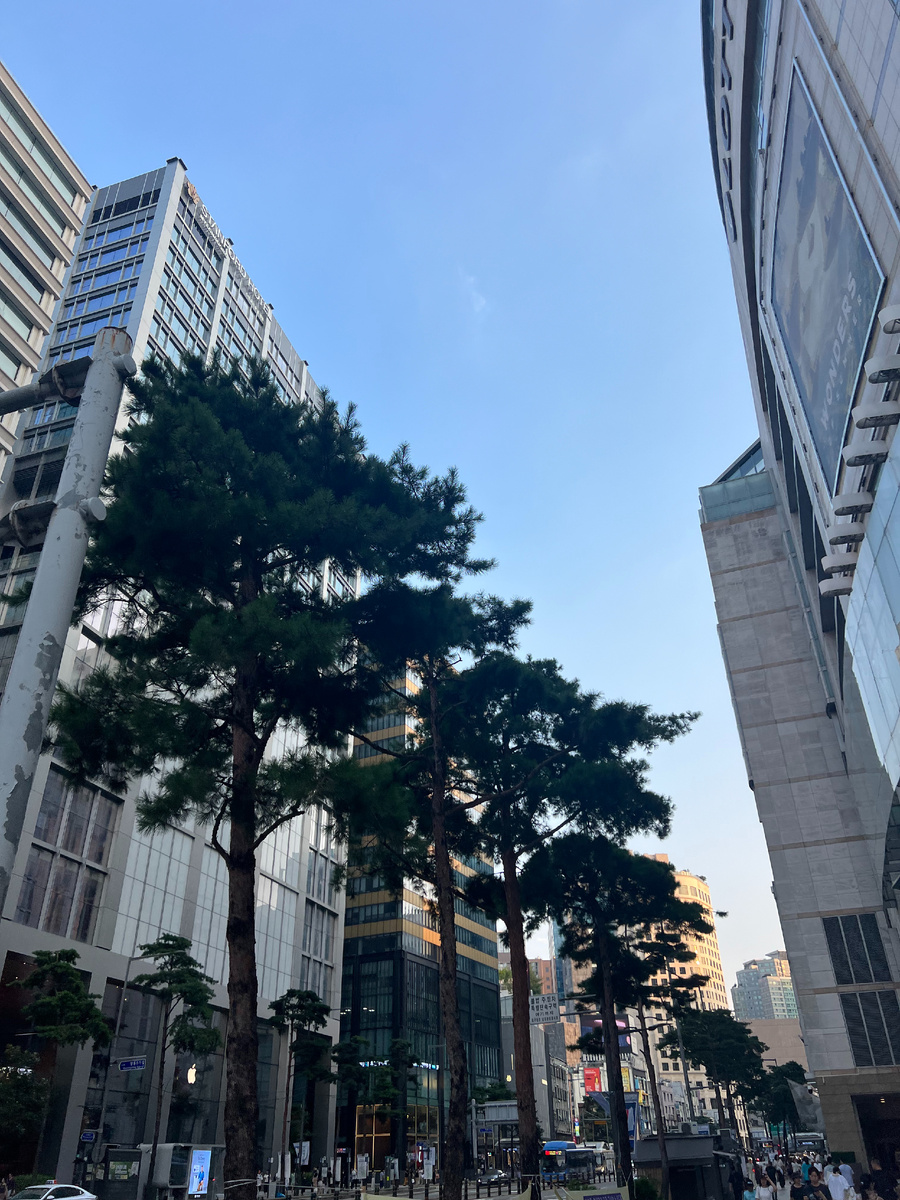 Сеул, Намдаемун-Ро 