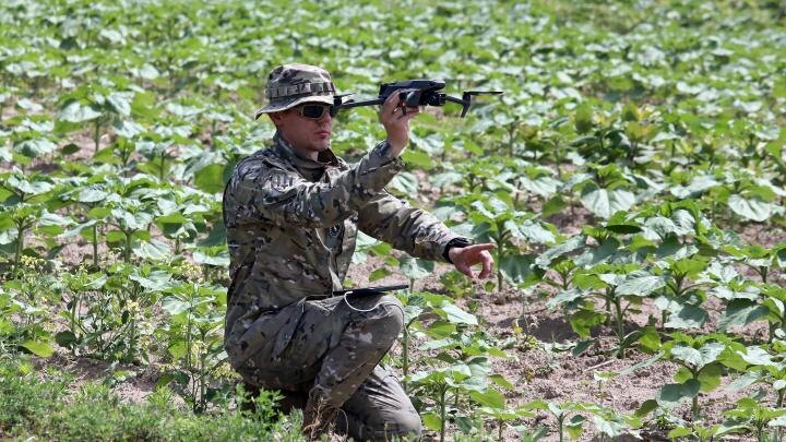 Фото: globallookpress.com/Volodymyr Tarasov