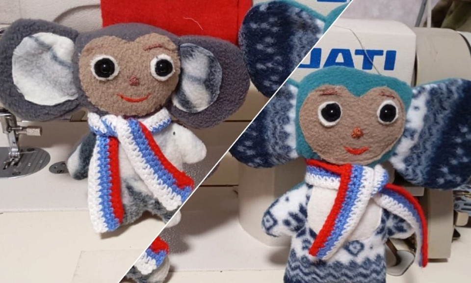 Волонтёры группы «Кочки ZoV»