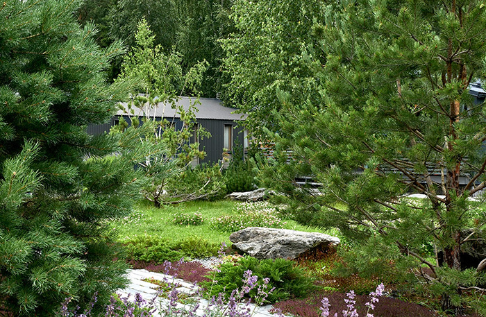     Нордический сад ландшафтной студии L-Buro.    
 Фото: lburo.ru