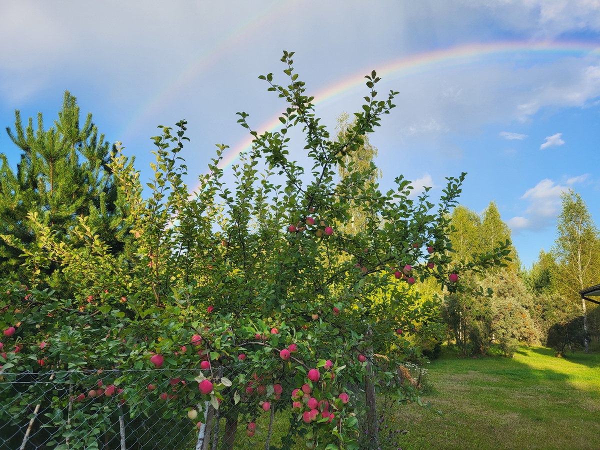 В статье использованы фото автора 