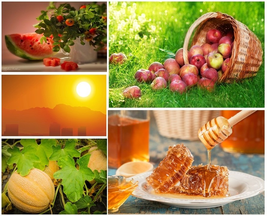 коллаж из фотографий, находящихся в свободном доступе