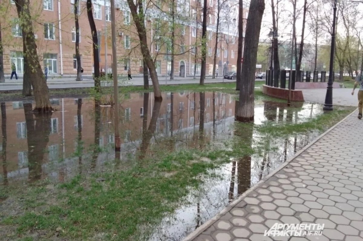    Учёный Паньков объяснил причину появления полчища мошек на Компросе в Перми