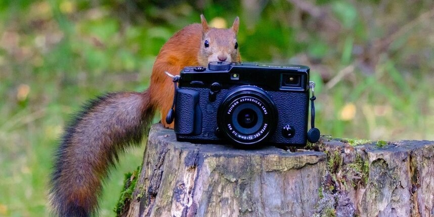    Алена Бобрович