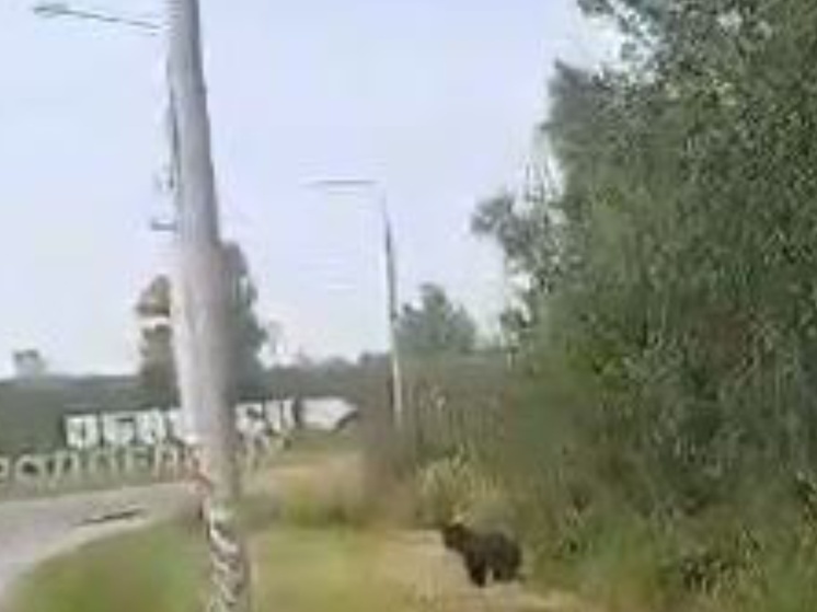     Фото: администрация города Балабаново