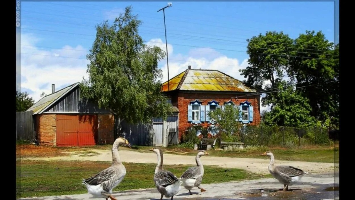 Картинка из свободного доступа 