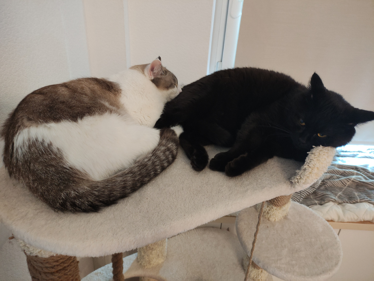 Всегда приятно, когда есть на кого положиться:)