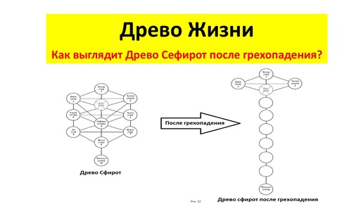 Древо Жизни (каббала). Как сейчас выглядит Древо Жизни (Древо Сфирот)?