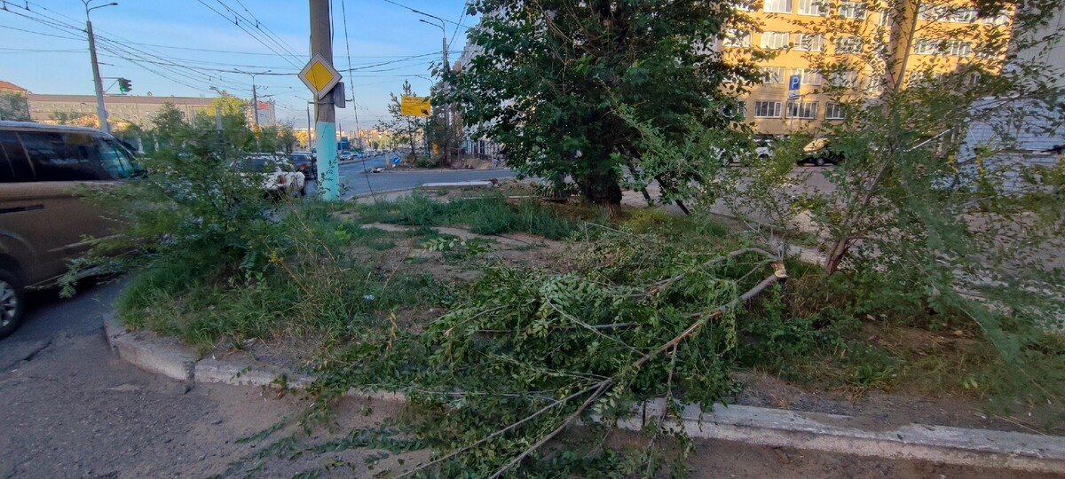    Фото: Очевидец