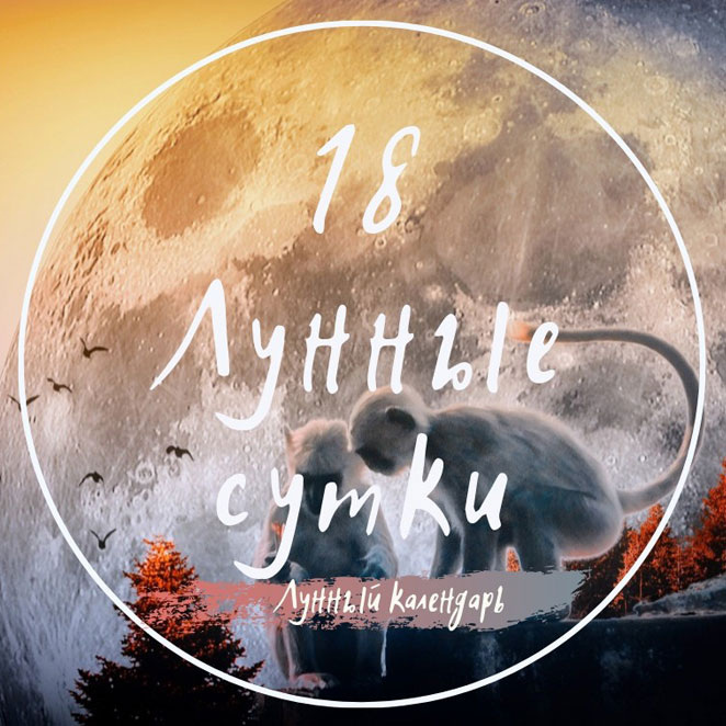 Лунный календарь, астрологический прогноз и рекомендации на 21.08.2024 года от астролога Елены Луженецкой