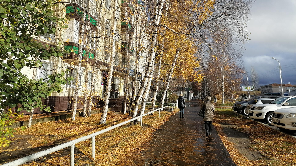 Фото: Виктория Лачугина, 1MI