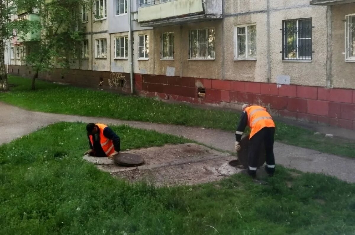    В Ярославле назвали самые престижные рабочие профессии