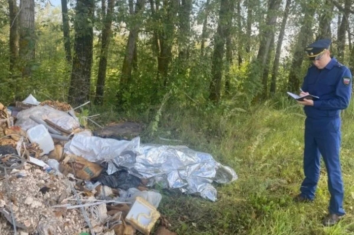    Свалка на краю деревни – знакомая многим картина.