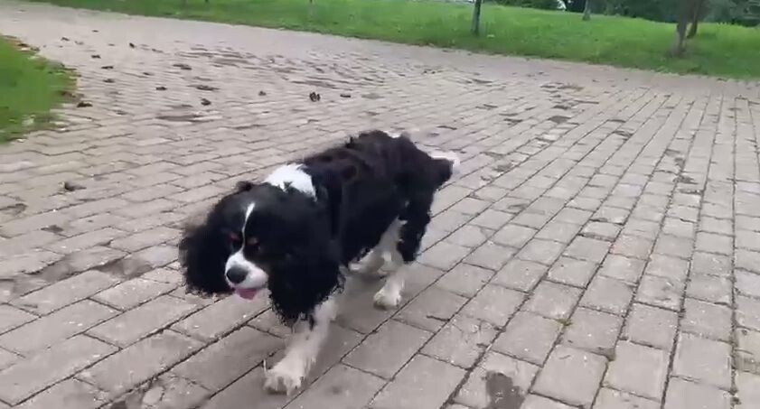    Телеканал «360»