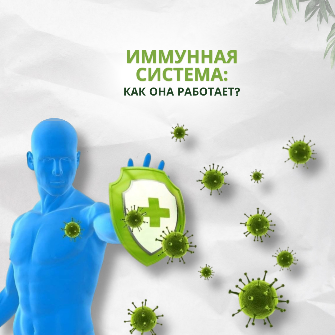 Доктор Окасена https://vk.com/doctor_okasena?z=photo352003336_457239564%2Falbum352003336_00%2Frev