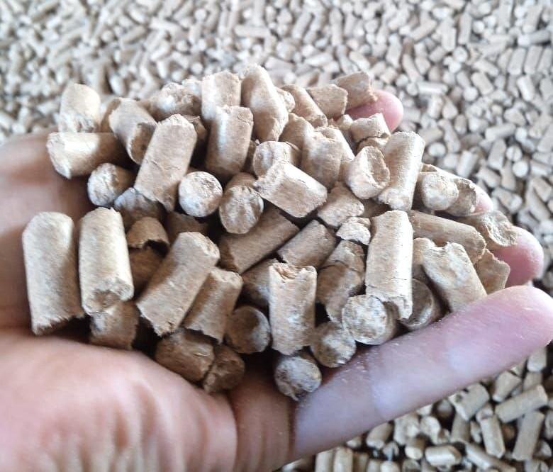 Фото: АПК Новости