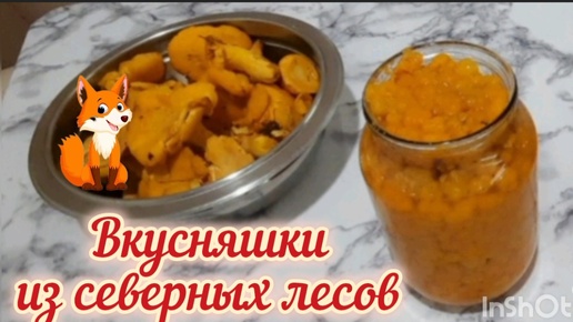 Гости привезли вкусные подарки с севера. Как готовлю лисички. Сын уехал в Потаповскую баню.