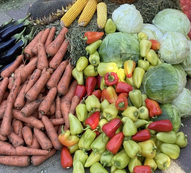    Кабардино-Балкарию включили в главную российскую пятерку по производству овощей открытого грунта