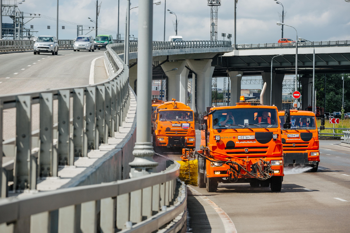 Они повсюду!