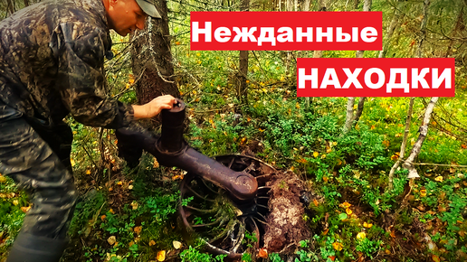 Неожиданная находка! В лес с сыном на 