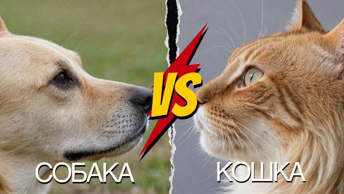 Изображение изготовлено автором