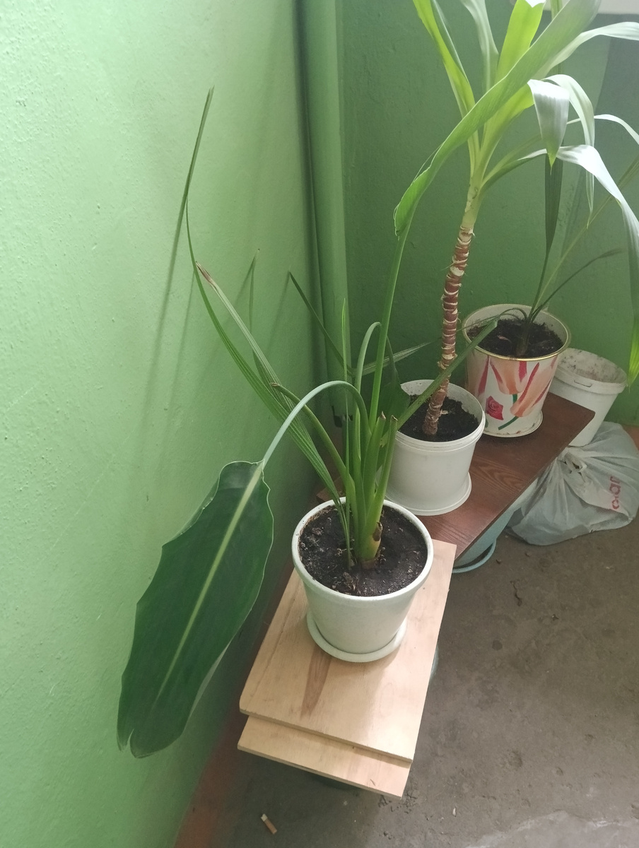 фото автора канала. Было сделано в мае этого года