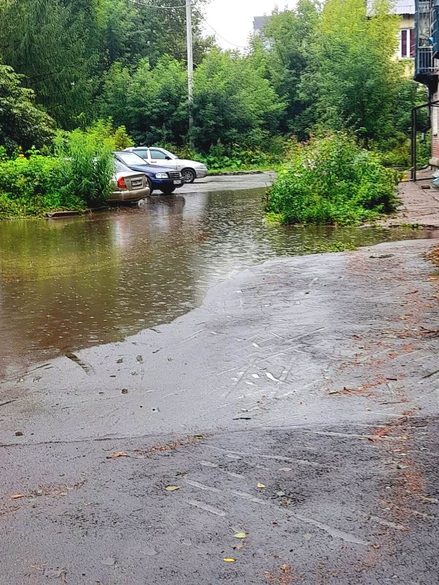 Вот она Знаменитая наша лужа, хоть купайся...   20.08.2024 Фото автора