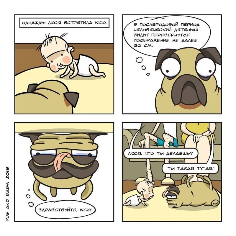 Автор: pug_and_baby