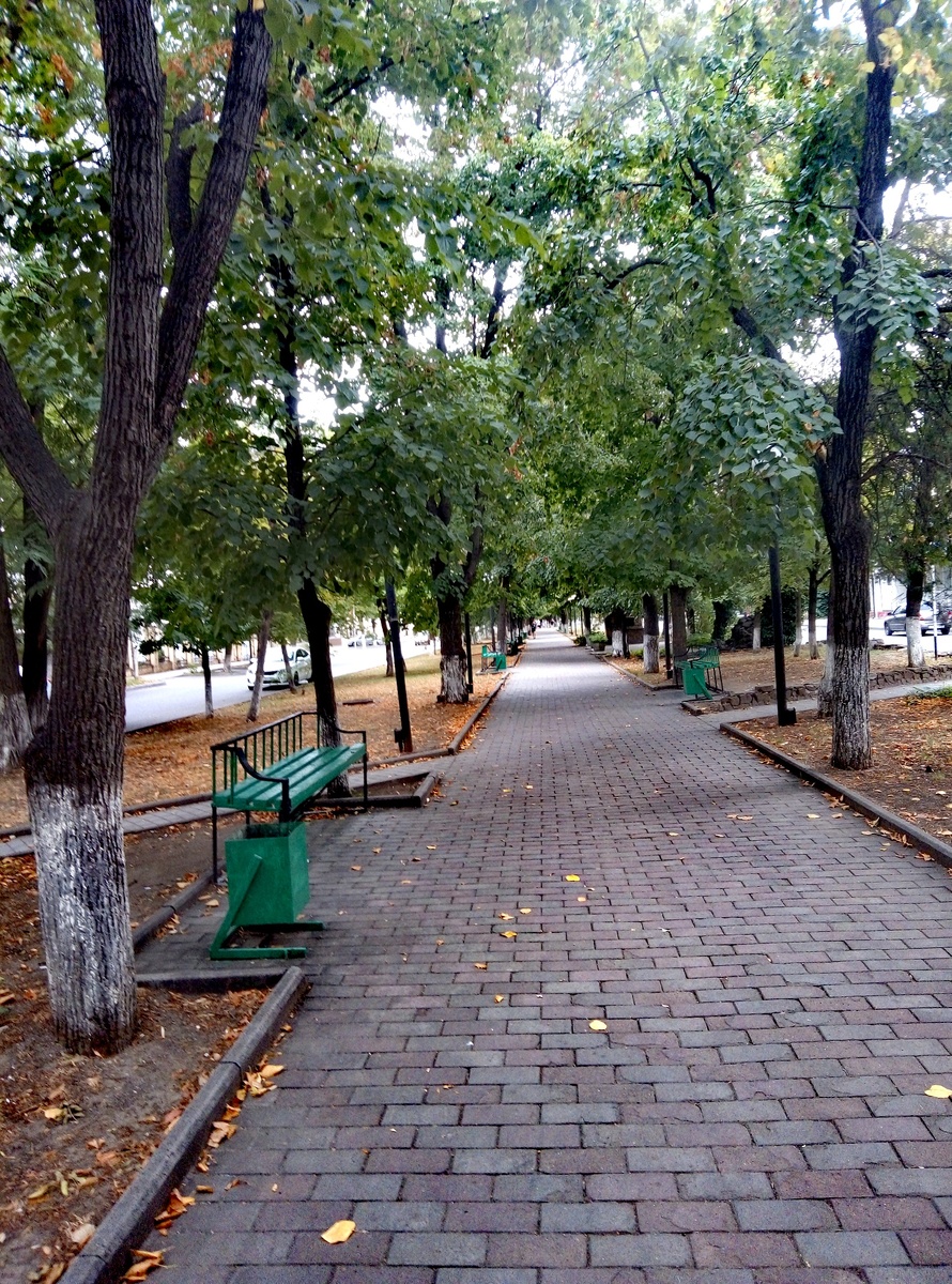 Аллея по ул. Октябрьской