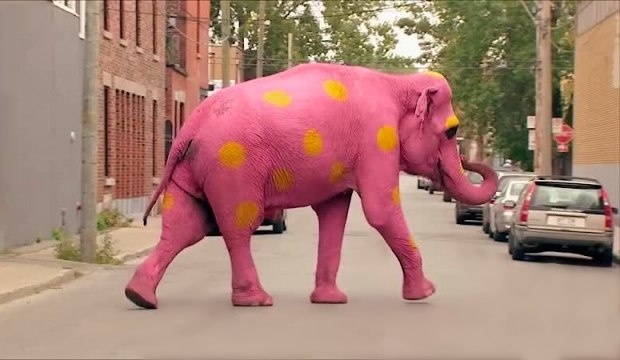 фото из сети