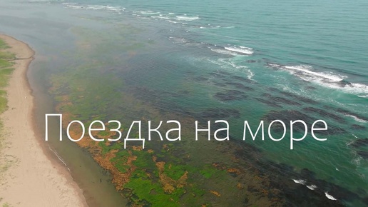 Креветка. Рыбалка. Нерпы. Трёхдневная поездка на море. Сахалин.