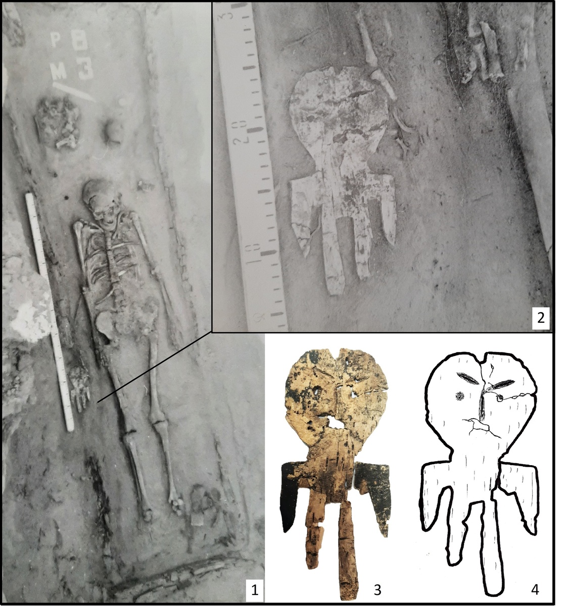 Рис. 2. Антропоморфное берестяное изделие из могилы 3 раскопа 8 Новотроицкого-1: 1, 2 — полевая фотография момента обнаружения находки (архив УНИЛ «Историческое краеведение» АлтГПУ); 3, 4 — фото и прорисовка лицевой стороны предмета (фото Н.Н. Головченко, без масштаба). 