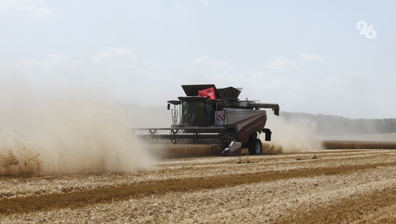    Работа аграриев в полях Фото: ИА «Победа26»